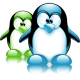 Avatar du membre